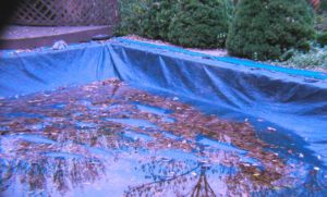pool cover with collected water